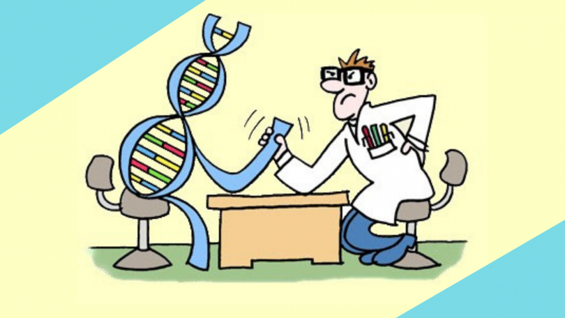 Prova de genética: 5 dicas para melhorar seu desempenho