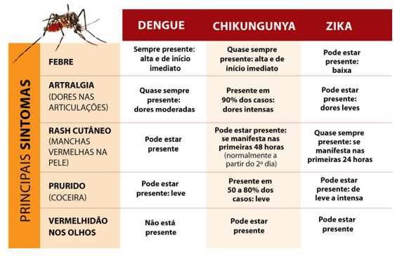 Dengue - Portal Do Jaleko - Conteúdos Práticos De Medicina Para ...